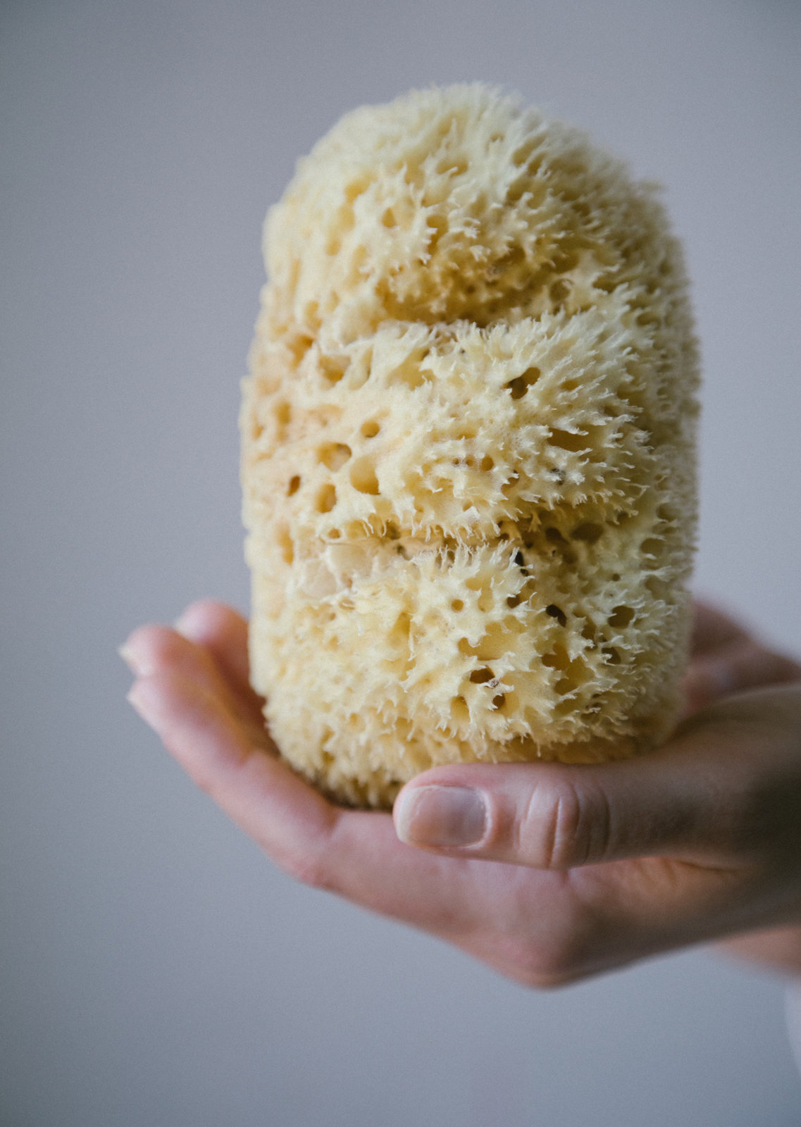 You Can Be a Sponge, But Be Less Absorbent